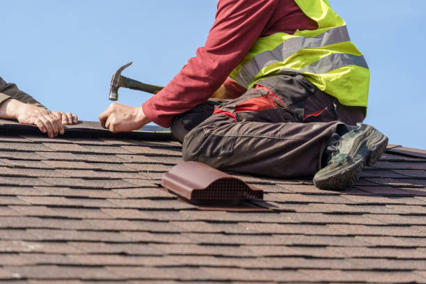 Best Roof Gutter Cleaning  in Pinetops, NC