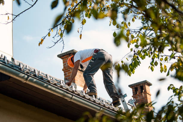 Best Roof Maintenance Services  in Pinetops, NC