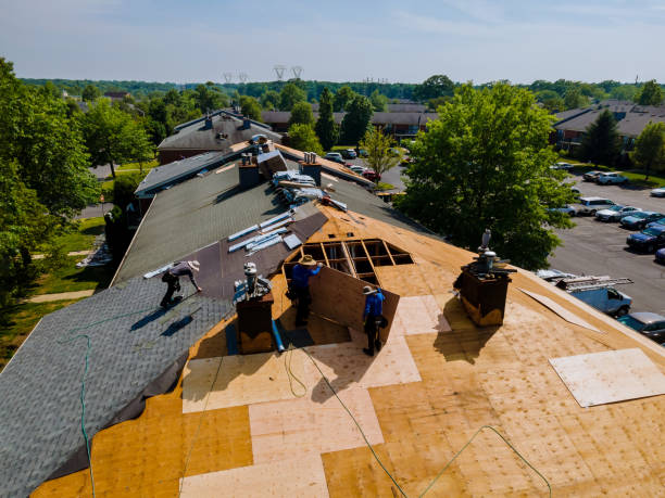 Quick and Trustworthy Emergency Roof Repair Services in Pinetops, NC